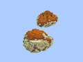 Thumbnail for version as of 11:01, 15 July 2026